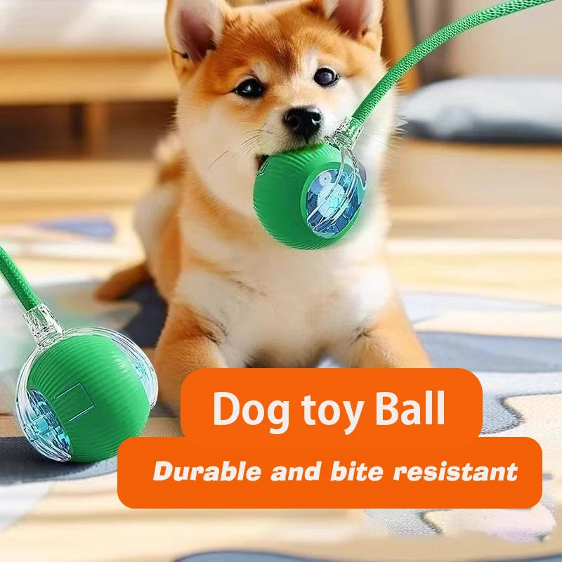 Balle Interactive pour Chien — Roule Seule, 3 Modes de Jeu, Rechargeable USB