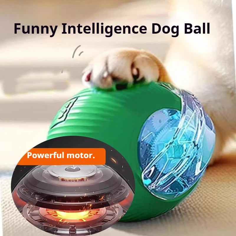 Balle Interactive pour Chien — Roule Seule, 3 Modes de Jeu, Rechargeable USB