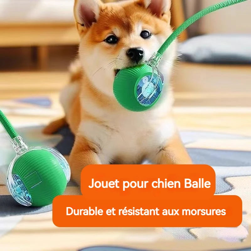 Balle Interactive pour Chien — Roule Seule, 3 Modes de Jeu, Rechargeable USB