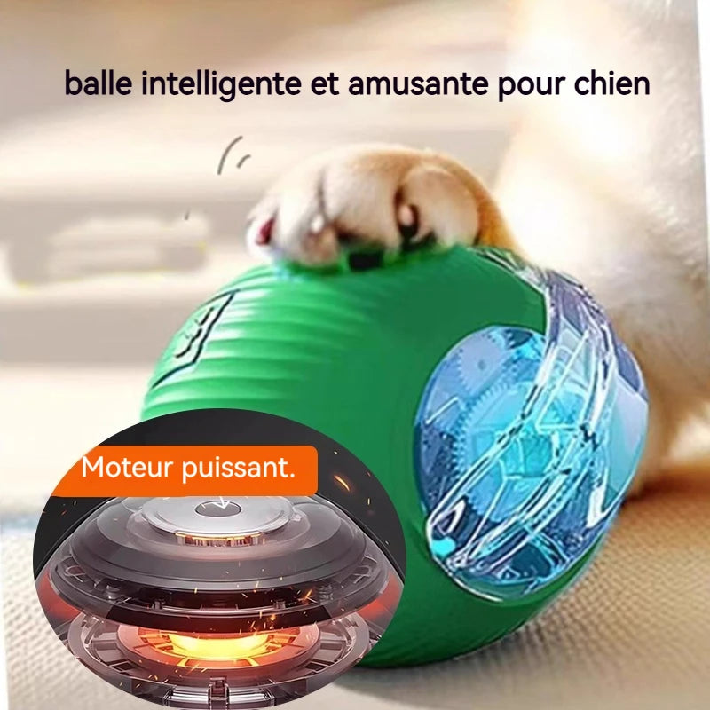 Balle Interactive pour Chien — Roule Seule, 3 Modes de Jeu, Rechargeable USB