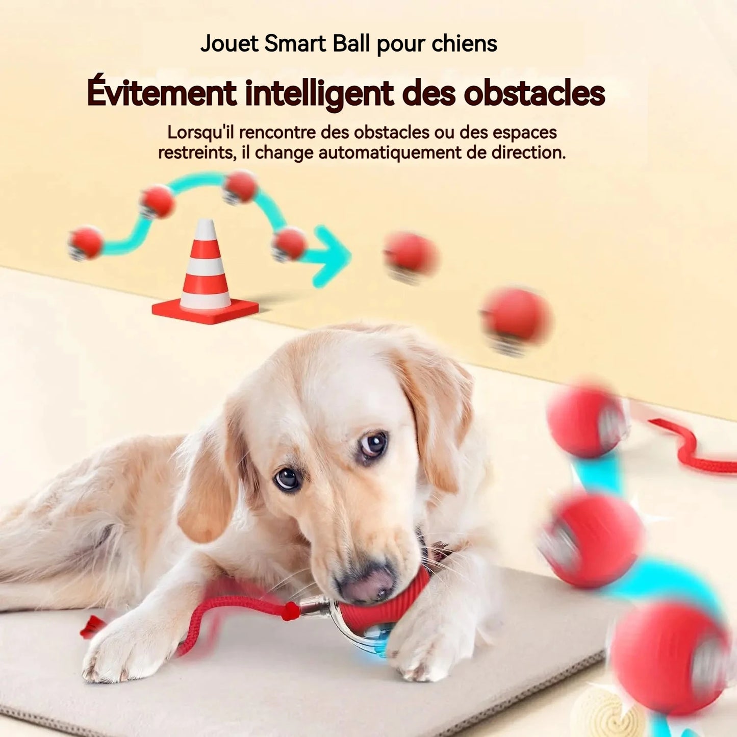 Balle Interactive pour Chien — Roule Seule, 3 Modes de Jeu, Rechargeable USB