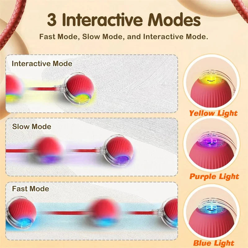 Balle Interactive pour Chien — Roule Seule, 3 Modes de Jeu, Rechargeable USB