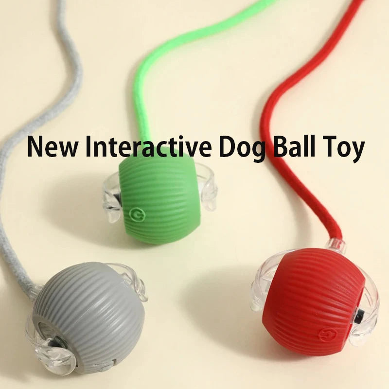 Balle Interactive pour Chien — Roule Seule, 3 Modes de Jeu, Rechargeable USB
