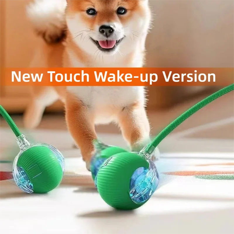 Balle Interactive pour Chien — Roule Seule, 3 Modes de Jeu, Rechargeable USB