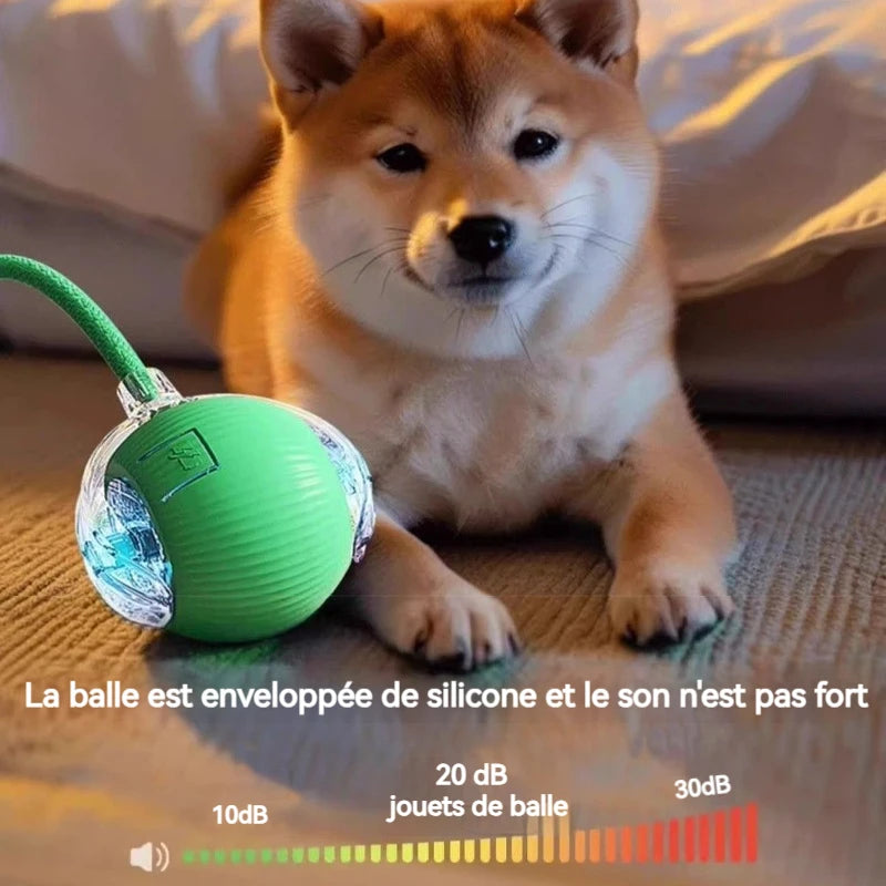 Balle Interactive pour Chien — Roule Seule, 3 Modes de Jeu, Rechargeable USB