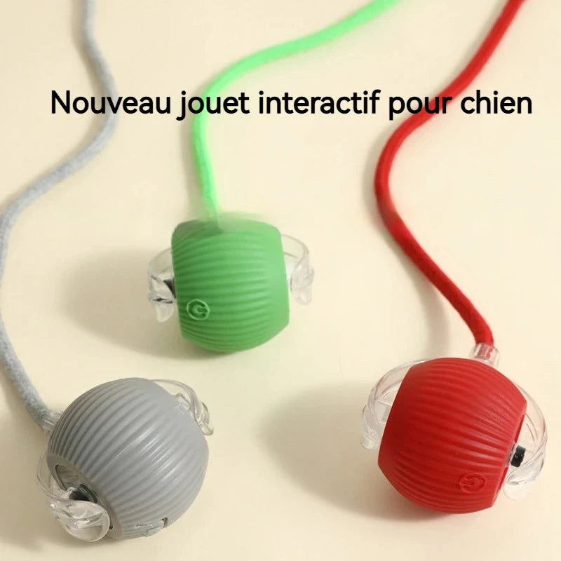 Balle Interactive pour Chien — Roule Seule, 3 Modes de Jeu, Rechargeable USB