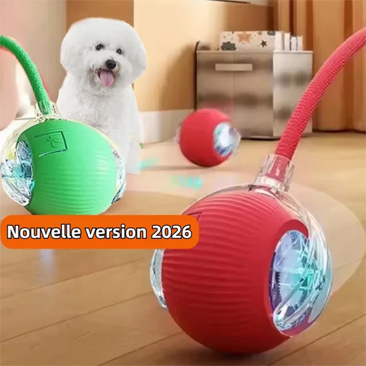 Balle Interactive pour Chien — Roule Seule, 3 Modes de Jeu, Rechargeable USB